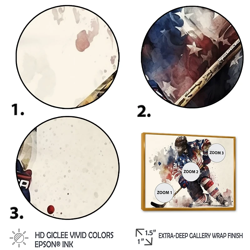 Usa Hockey Player Action Wall Art