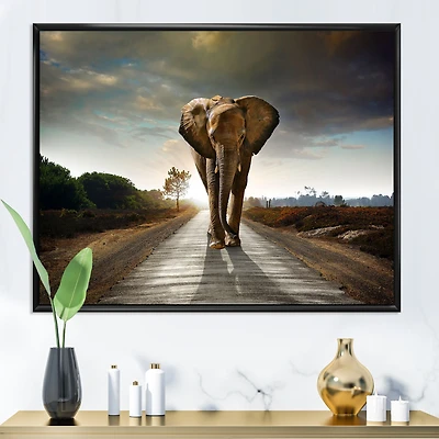 Single Walking Elephant  Canvas Art Print