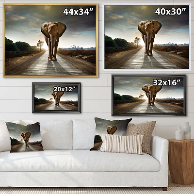 Single Walking Elephant  Canvas Art Print