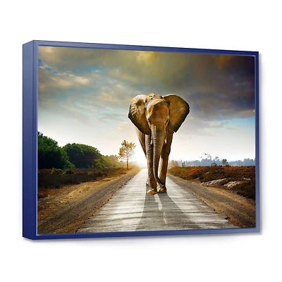 Single Walking Elephant  Canvas Art Print