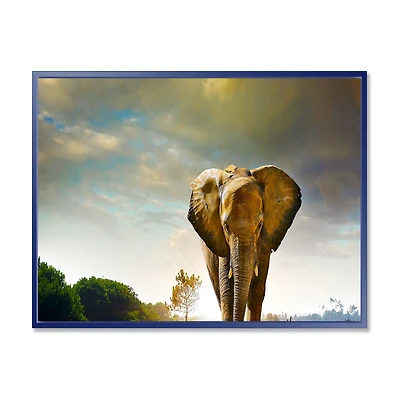 Single Walking Elephant Canvas Art Print