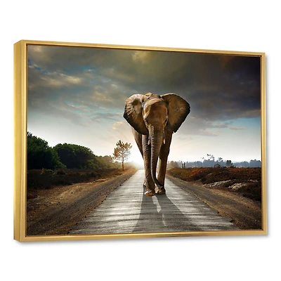 Single Walking Elephant  Canvas Art Print