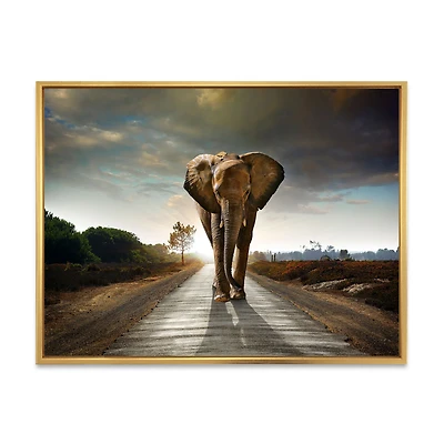 Single Walking Elephant  Canvas Art Print