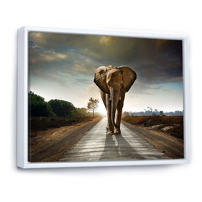 Single Walking Elephant  Canvas Art Print