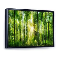 Forest with Rays of Sun Panorama  Wall Art