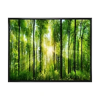 Forest with Rays of Sun Panorama  Wall Art