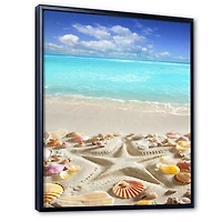 Caribbean Sea Starfish  Canvas Wall Art Print