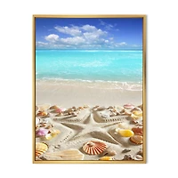 Caribbean Sea Starfish  Canvas Wall Art Print