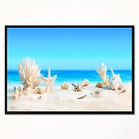 Seashells on Tropical  Wall Art