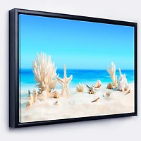 Seashells on Tropical  Wall Art