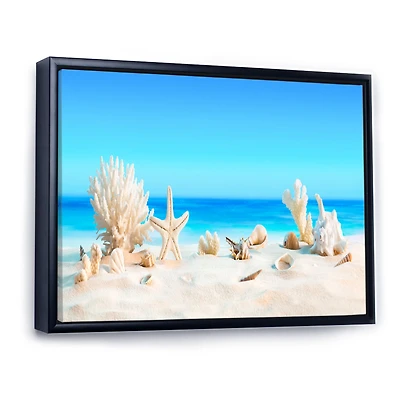 Seashells on Tropical  Wall Art