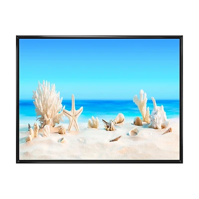 Seashells on Tropical Wall Art