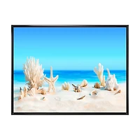 Seashells on Tropical  Wall Art