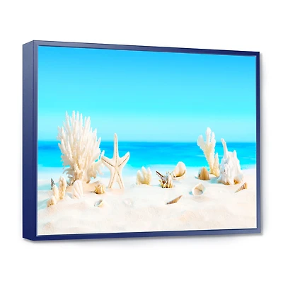 Seashells on Tropical  Wall Art