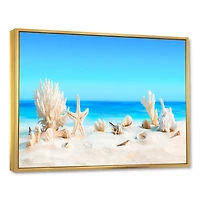 Seashells on Tropical  Wall Art