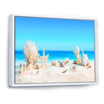 Seashells on Tropical  Wall Art