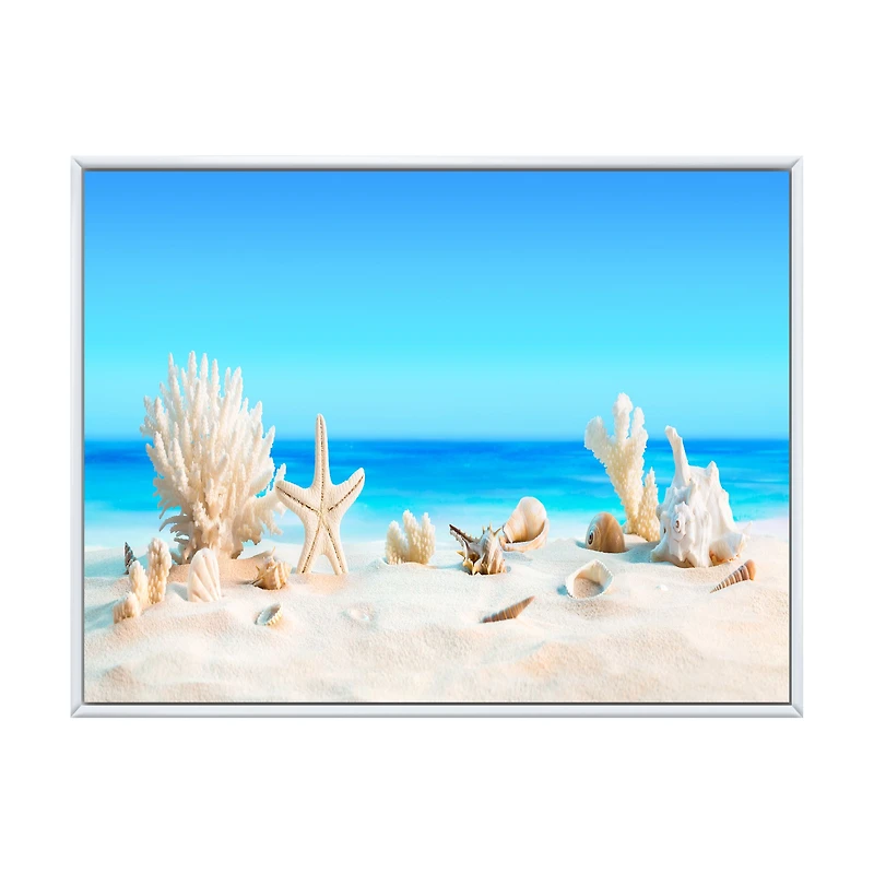 Seashells on Tropical  Wall Art