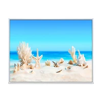 Seashells on Tropical  Wall Art