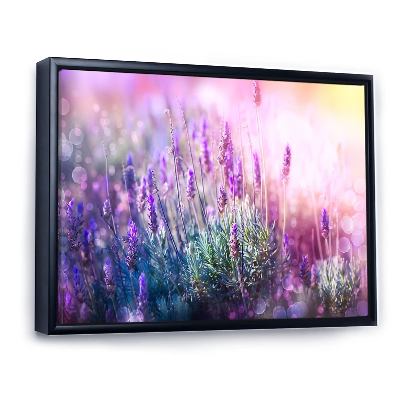 Growing and Blooming Lavender Canvas Print
