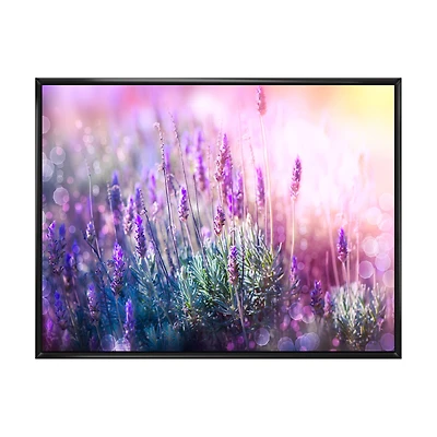 Growing and Blooming Lavender Canvas Print