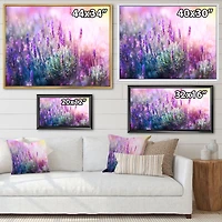 Growing and Blooming Lavender Canvas Print
