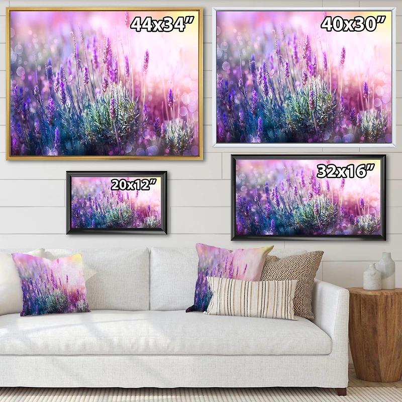Growing and Blooming Lavender Canvas Print
