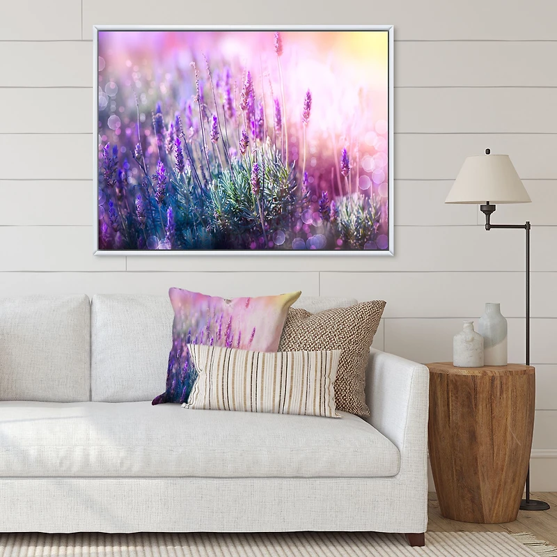 Growing and Blooming Lavender Canvas Print