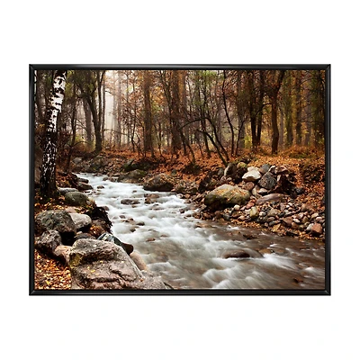 Stream Autumn Forest Canvas Print