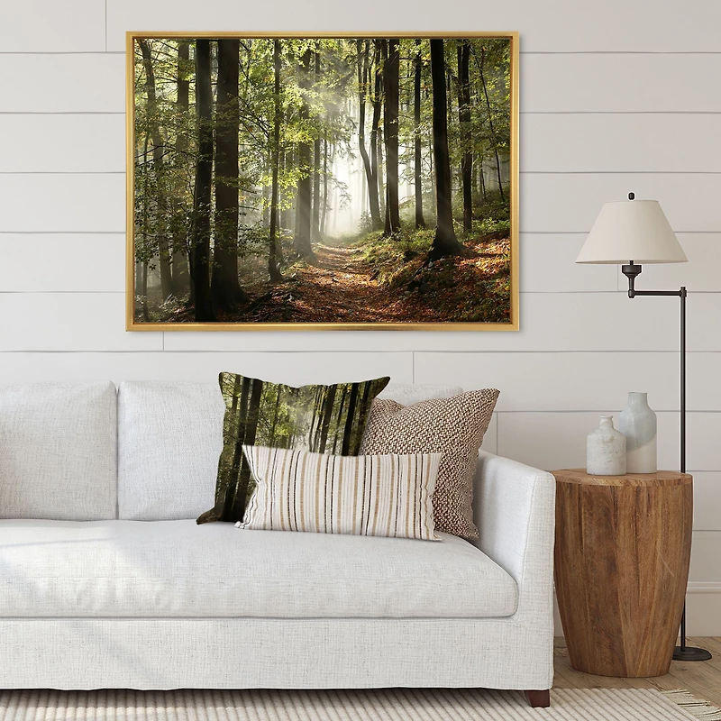 Green Fall Forest with Sun Rays  Canvas Print