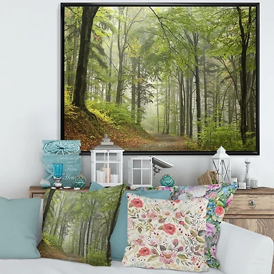 Green Beach Forest Pathway  Wall Art