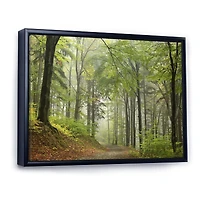 Green Beach Forest Pathway  Wall Art
