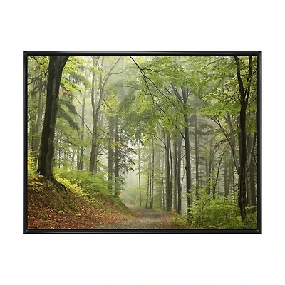 Green Beach Forest Pathway  Wall Art