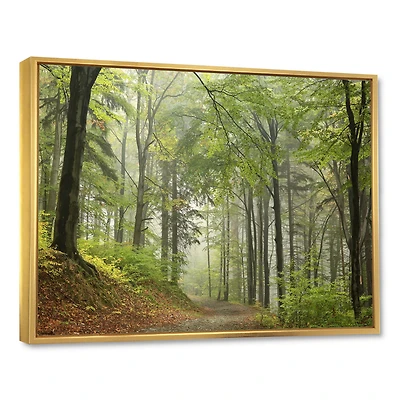 Green Beach Forest Pathway  Wall Art