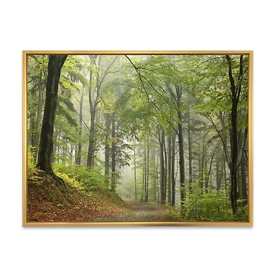 Green Beach Forest Pathway  Wall Art