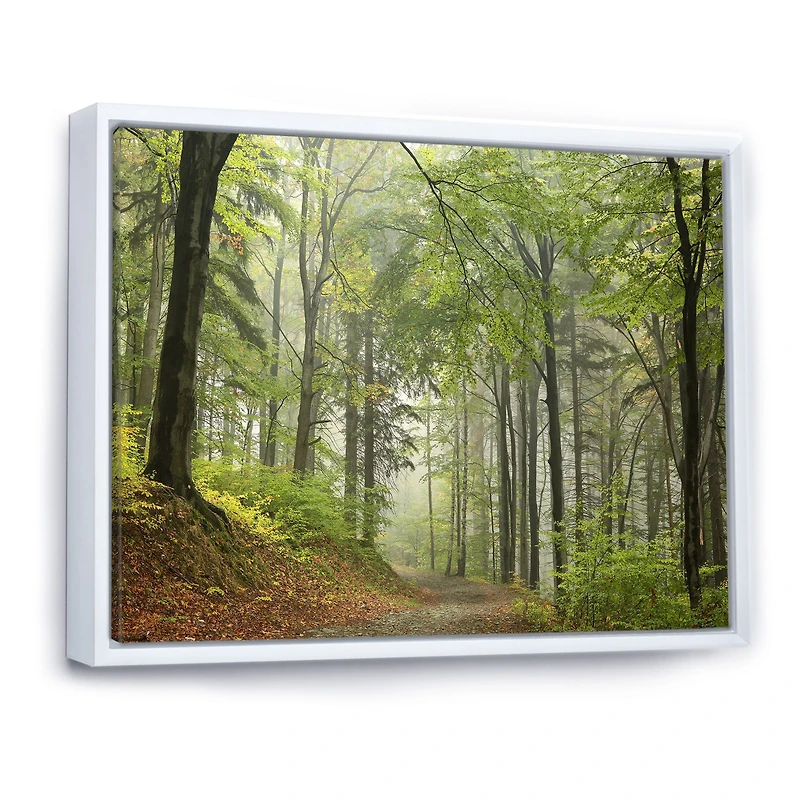 Green Beach Forest Pathway  Wall Art