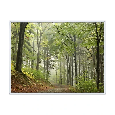 Green Beach Forest Pathway  Wall Art