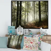 Toile imprimée « Light Dense Fall Forest with Fog »