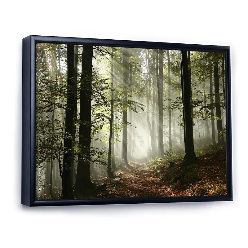 Toile imprimée « Light Dense Fall Forest with Fog »