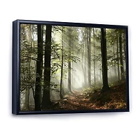 Toile imprimée « Light Dense Fall Forest with Fog »