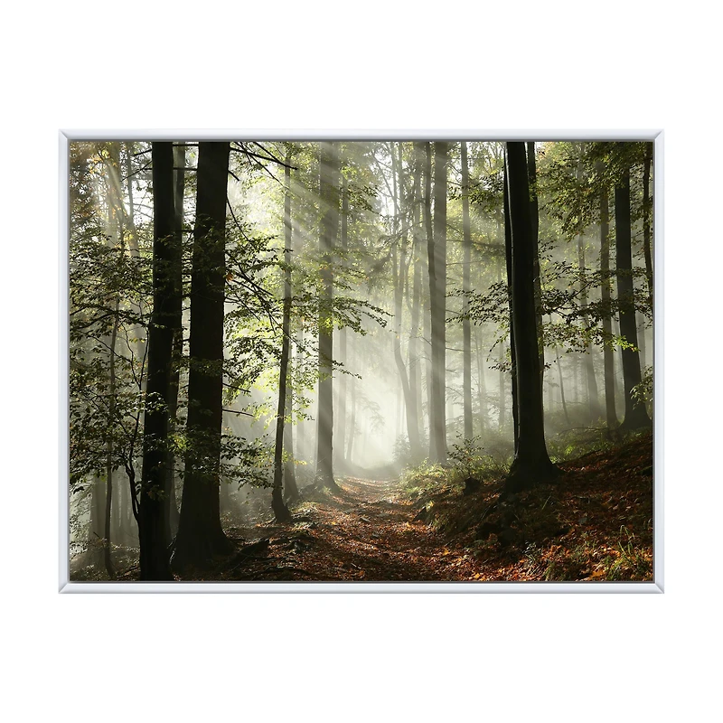 Toile imprimée « Light Dense Fall Forest with Fog »