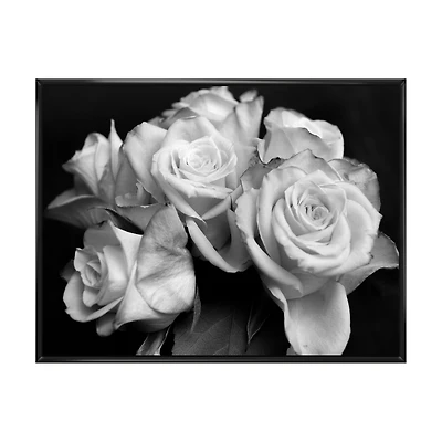 Bunch of Roses Black and White Canvas Art Print