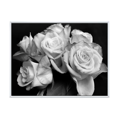 Bunch of Roses Black and White Canvas Art Print