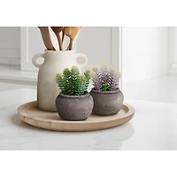 Plantes artificielles, ensemble de 2 - Pots en Ciment, 8 po