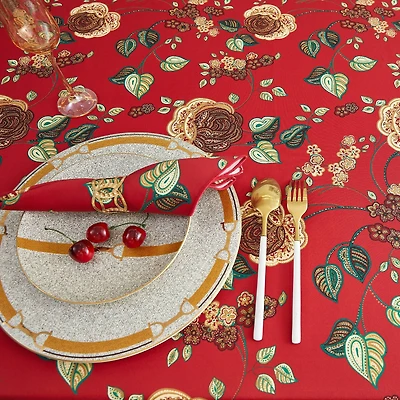 Kashmir Nappe
