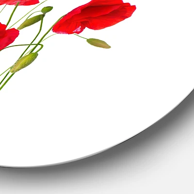Isolated Red Poppy Flowers Round Wall Art