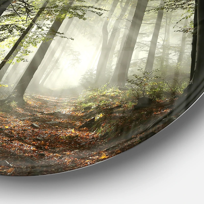Light Dense Fall Forest with Fog Round Wall Art