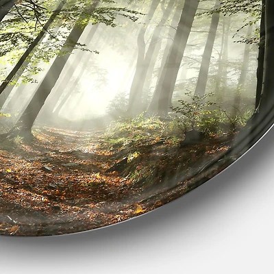 Light Dense Fall Forest with Fog Round Wall Art