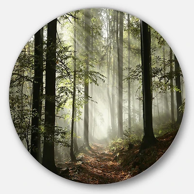 Light Dense Fall Forest with Fog Round Wall Art