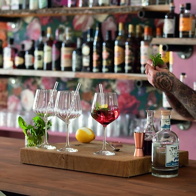 Tastes Good Set of 4 Glasses Gin & Tonic + 4 Straws by Nachtmann