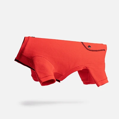 Paquet de 2 pyjamas pour chiens par SilverPaw -  imprimé zèbre et rouge uni